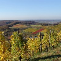 Weinberge, &copy; Land der 1000 H&uuml;gel - Kraichgau-Stromberg
