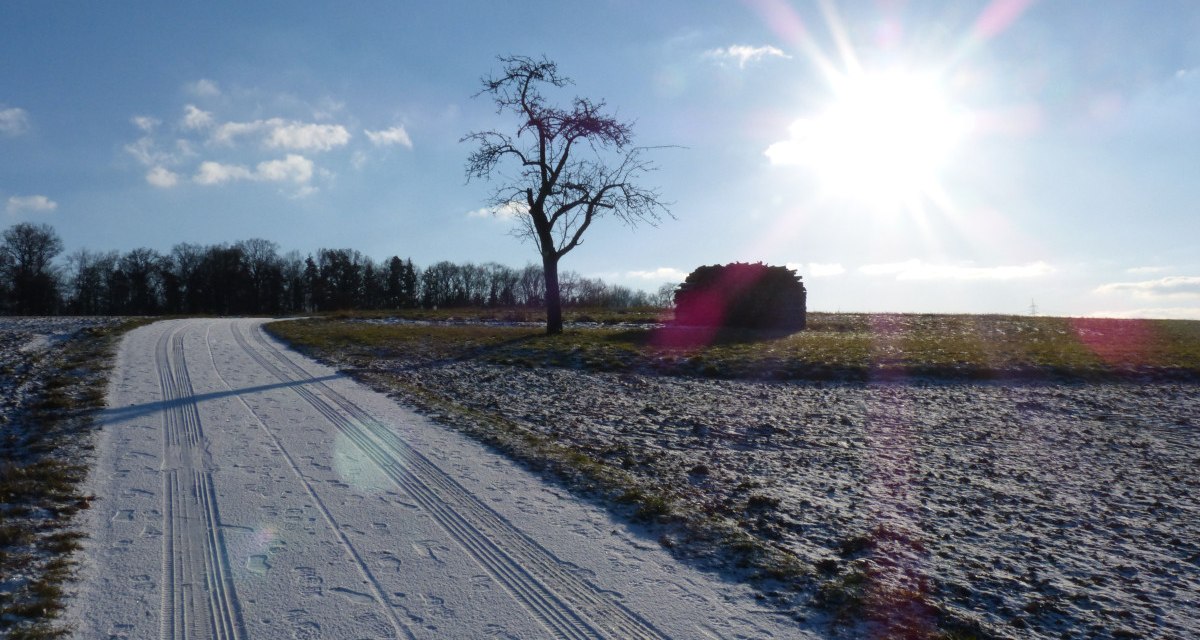 Ein verschneiter Weg mit Fußspuren führt an einem kahlen Baum vorbei. Die Sonne scheint hell am blauen Himmel., © Land der 1000 Hügel - Kraichgau-Stromberg Ein verschneiter Weg mit Fußspuren führt an einem kahlen Baum vorbei. Die Sonne scheint hell am blauen Himmel., © Land der 1000 Hügel - Kraichgau-Stromberg