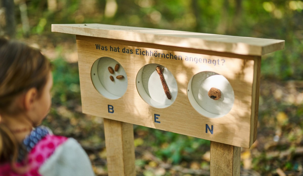 Ein Kind steht vor einem h&ouml;lzernen Stationsschild im Wald. Das Schild fragt: 'Was hat das Eichh&ouml;rnchen angenagt?' mit drei Optionen zur Auswahl., &copy; Natur.Nah. Sch&ouml;nbuch & Heckeng&auml;u