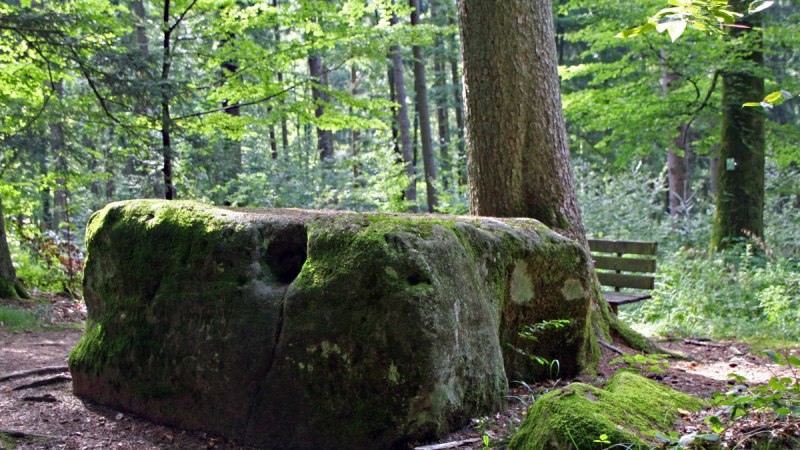 FeenSpuren | Sagenhafter Femelwald Premiumwanderweg - Premiumwanderweg mit Start in Sulzbach an der Murr, © Alexandra Kübler FeenSpuren | Sagenhafter Femelwald Premiumwanderweg - Premiumwanderweg mit Start in Sulzbach an der Murr, © Alexandra Kübler