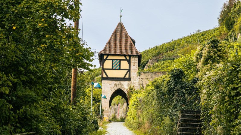 Das Neckarhaldentor in Esslingen, umgeben von Weinbergen und dichtem Grün, bietet einen malerischen Anblick., © Stuttgart-Marketing GmbH, Sarah Schmid Das Neckarhaldentor in Esslingen, umgeben von Weinbergen und dichtem Grün, bietet einen malerischen Anblick., © Stuttgart-Marketing GmbH, Sarah Schmid