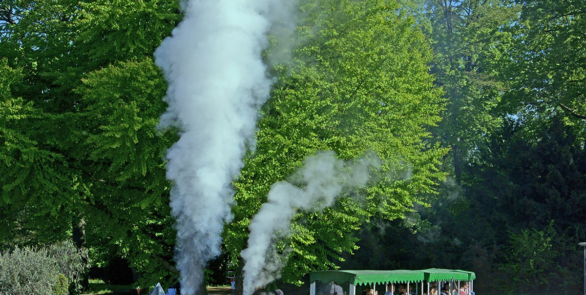 Die Killesbergbahn fährt durch einen blühenden Park mit gelben und blauen Blumen, umgeben von grünen Bäumen. Eine Dampflokomotive zieht gelbe Waggons., © Andreas Pucka