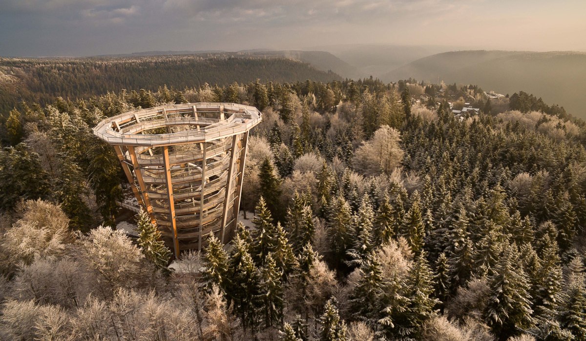 Baumwipfelpfad Schwarzwald im Winter, © Erlebnisakademie