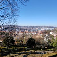 Stadtansicht mit roten Dächern unter klarem, blauem Himmel. Im Vordergrund Bäume und ein Holzzaun., © SMG