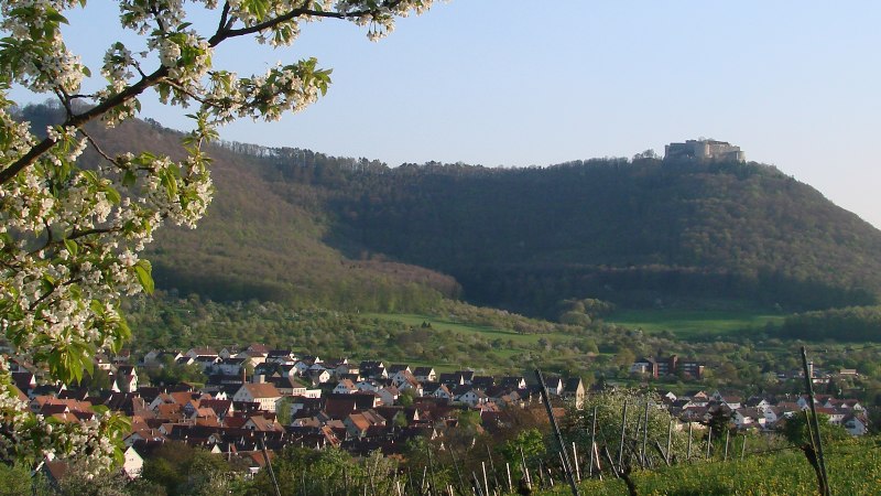 Bl&uuml;hende B&auml;ume rahmen ein Dorf ein, das vor einem bewaldeten H&uuml;gel liegt. Im Hintergrund ist eine Burg zu sehen., &copy; Stuttgart-Marketing GmbH