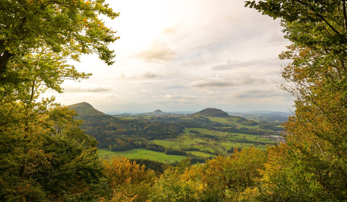 Blick auf die Drei Kaiserberge durch herbstlich gefärbte Bäume. Die Landschaft ist grün und hügelig, der Himmel leicht bewölkt., © Foto: Mario Klaiber
