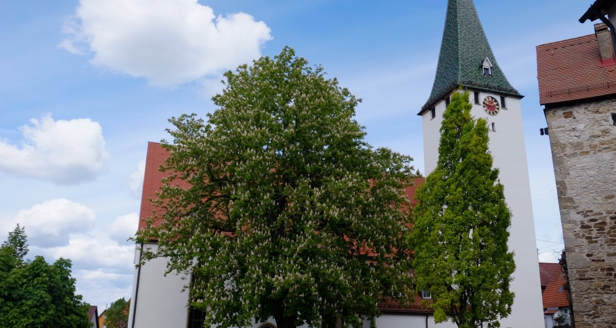 Die Evangelische Kirche St. Ulrich mit einem hohen Turm und blühenden Bäumen im Vordergrund, unter einem blauen Himmel mit Wolken., © Evangelisches Pfarramt Heubach Die Evangelische Kirche St. Ulrich mit einem hohen Turm und blühenden Bäumen im Vordergrund, unter einem blauen Himmel mit Wolken., © Evangelisches Pfarramt Heubach