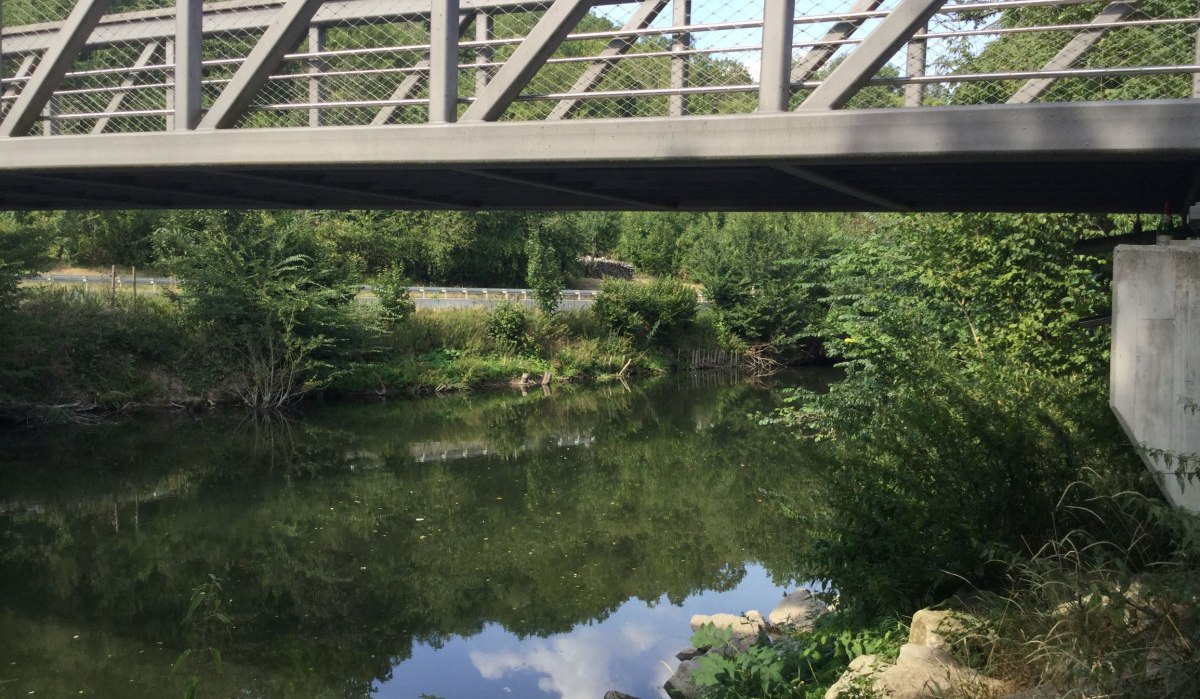 Eine Brücke überquert einen ruhigen Fluss im Glemstal, umgeben von üppigem Grün und Bäumen., © Herde