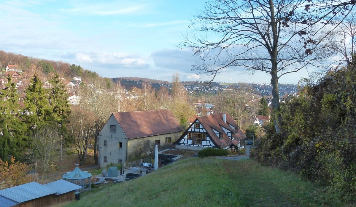 Ein grasbewachsener Weg führt zu Fachwerkhäusern. Ein großer, kahler Baum steht rechts. Im Hintergrund sind Hügel und ein blauer Himmel zu sehen., © Natur.Nah. Schönbuch & Heckengäu