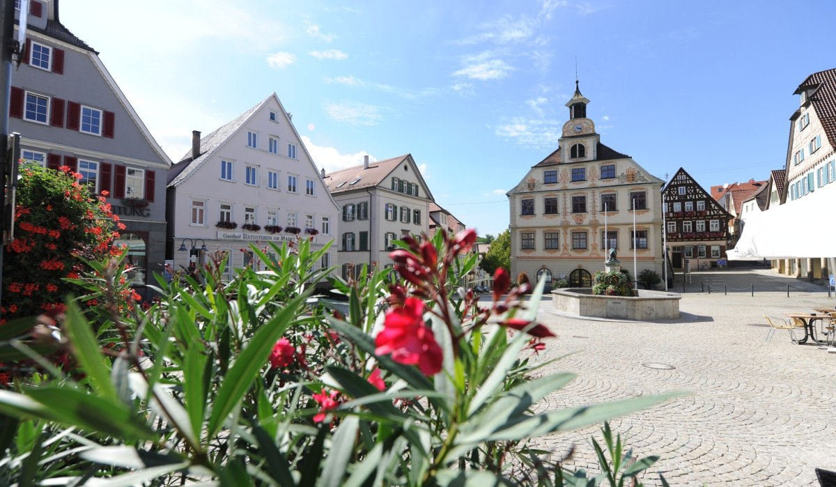 Marktplatz in Vaihingen an der Enz mit historischen Gebäuden und Blumen im Vordergrund bei sonnigem Wetter., © Stadt Vaihingen an der Enz Marktplatz in Vaihingen an der Enz mit historischen Gebäuden und Blumen im Vordergrund bei sonnigem Wetter., © Stadt Vaihingen an der Enz