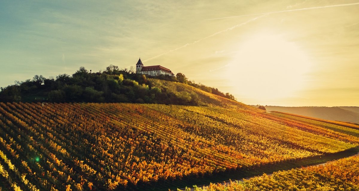 Michaelsberg im herbstlichen Sonnenlicht, © Touristikgemeinschaft HeilbronnerLand e.V. Michaelsberg im herbstlichen Sonnenlicht, © Touristikgemeinschaft HeilbronnerLand e.V.