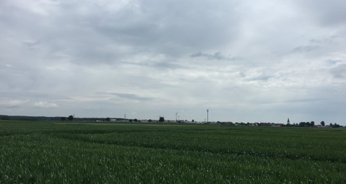 Weite gr&uuml;ne Felder erstrecken sich unter einem bew&ouml;lkten Himmel. Am Horizont ist eine kleine Stadt mit einem Kirchturm zu sehen., &copy; www.pro-cycl.de