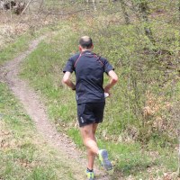 Ein Trailläufer in schwarzer Sportkleidung joggt auf einem schmalen Pfad durch einen grünen Wald., © Natur.Nah. Schönbuch & Heckengäu
