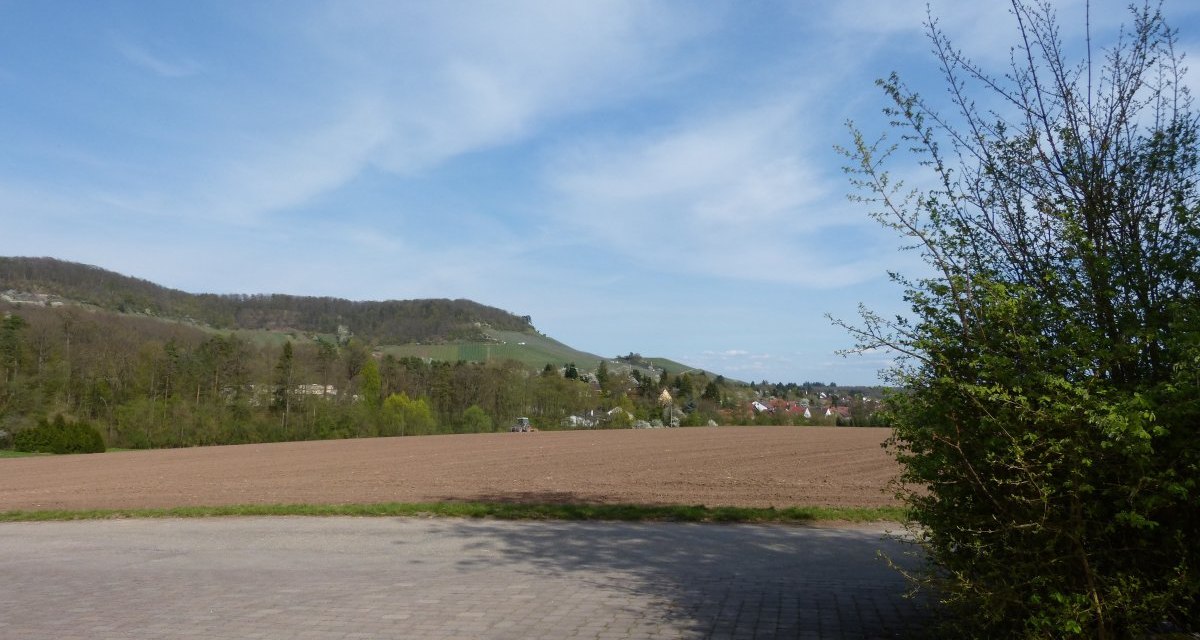 Weitläufige Landschaft mit Feldern, Bäumen und Hügeln unter blauem Himmel. Ein gepflasterter Weg im Vordergrund, rechts ein Busch., © Land der 1000 Hügel - Kraichgau-Stromberg Weitläufige Landschaft mit Feldern, Bäumen und Hügeln unter blauem Himmel. Ein gepflasterter Weg im Vordergrund, rechts ein Busch., © Land der 1000 Hügel - Kraichgau-Stromberg