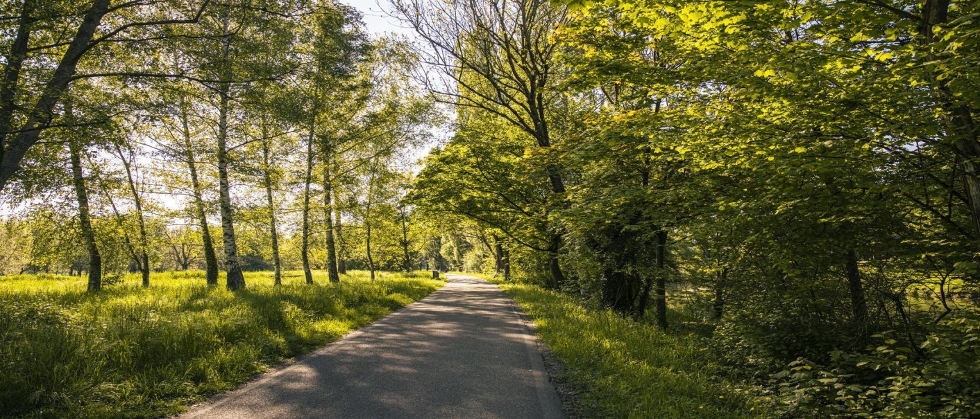 Ein sonniger Weg f&uuml;hrt durch einen gr&uuml;nen Wald in der Waiblinger Talaue. Die B&auml;ume werfen Schatten auf den Weg., &copy; SMG, Sarah Schmid