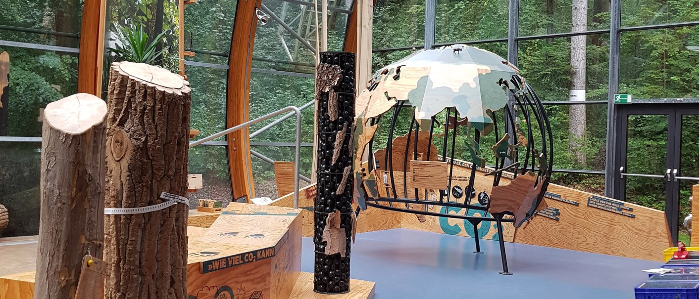 Ausstellung mit Holzstämmen und einer dekorativen Weltkugel aus Holz und Metall, umgeben von großen Fenstern mit Blick auf den Wald., © Haus des Waldes