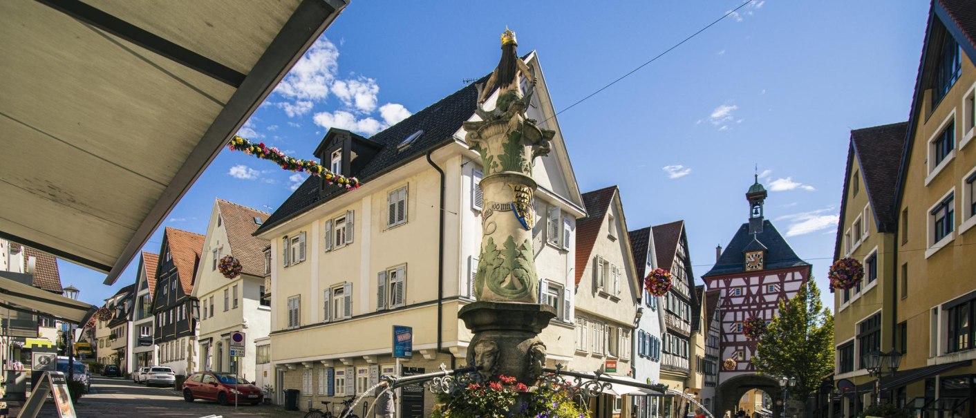 Eine Meerjungfrau mit Krone sitzt auf einem Brunnen, umgeben von Häusern mit roten Dächern., © Stuttgart-Marketing GmbH, Sarah Schmid