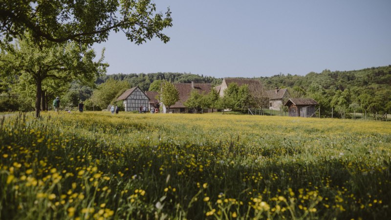 Blick auf die Häusersiedlung im Hohenloher Freilandmuseum, © Foto: Nico Kurth Blick auf die Häusersiedlung im Hohenloher Freilandmuseum, © Foto: Nico Kurth