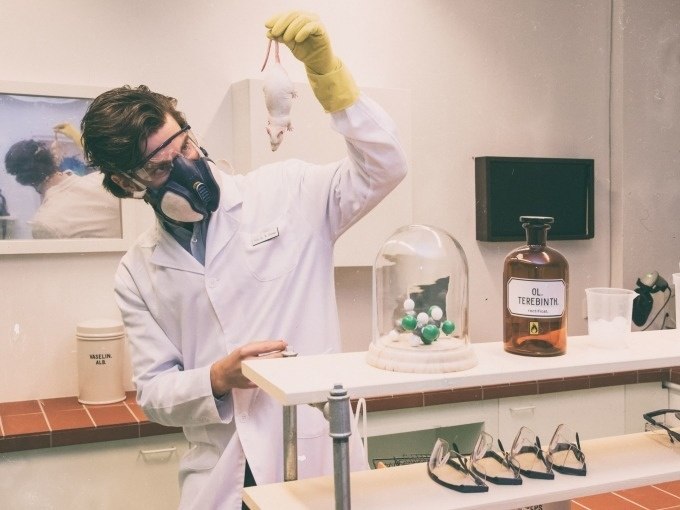 Ein Wissenschaftler in Schutzkleidung hält eine Maus in einem Labor. Auf dem Tisch stehen Chemikalien und Schutzbrillen., © ExitGames Stuttgart Ein Wissenschaftler in Schutzkleidung hält eine Maus in einem Labor. Auf dem Tisch stehen Chemikalien und Schutzbrillen., © ExitGames Stuttgart