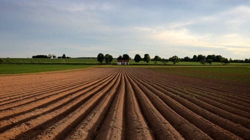 Ein Feld mit gleichmäßigen Furchen, im Hintergrund ein kleines Gebäude und Bäume unter einem bewölkten Himmel., © Remstal Tourismus e.V. Ein Feld mit gleichmäßigen Furchen, im Hintergrund ein kleines Gebäude und Bäume unter einem bewölkten Himmel., © Remstal Tourismus e.V.