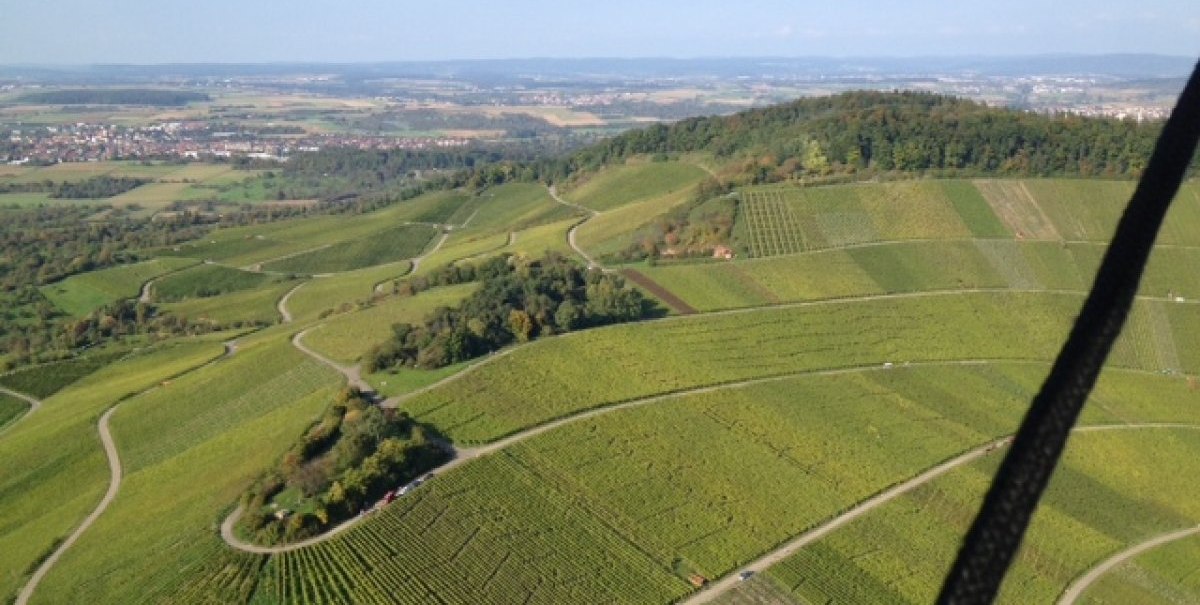 Blick auf die Korber Weinberge, &copy; Weingut-Singer-Bader