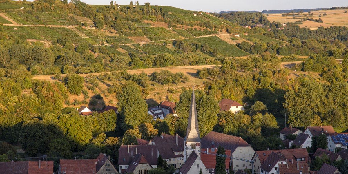 Weinberge erstrecken sich über Hügel, im Vordergrund ein Dorf mit Kirchturm. Die Landschaft ist grün und von Bäumen umgeben., © SMG Mende Weinberge erstrecken sich über Hügel, im Vordergrund ein Dorf mit Kirchturm. Die Landschaft ist grün und von Bäumen umgeben., © SMG Mende