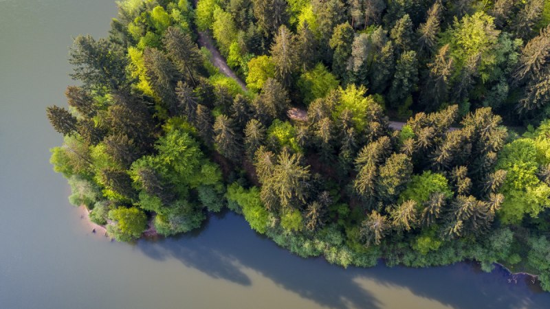 Luftaufnahme eines bewaldeten Ufers am Herrenbachstaussee. Dichte Bäume mit grünem Laub grenzen an das ruhige Wasser des Sees. Luftaufnahme eines bewaldeten Ufers am Herrenbachstaussee. Dichte Bäume mit grünem Laub grenzen an das ruhige Wasser des Sees.