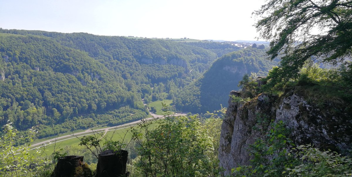 Blick von einem Felsen auf ein grünes, bewaldetes Tal mit einer Straße. Im Vordergrund sind Baumstümpfe und Büsche zu sehen., © Bad Urach Tourismus Blick von einem Felsen auf ein grünes, bewaldetes Tal mit einer Straße. Im Vordergrund sind Baumstümpfe und Büsche zu sehen., © Bad Urach Tourismus