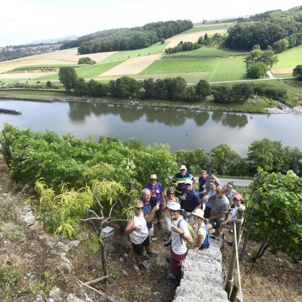 Große Weinbergtour: Steil gehen und genießen - Wanderung mit Weinverkostung, © Tourist Information und Ticket Service Ludwigsburg