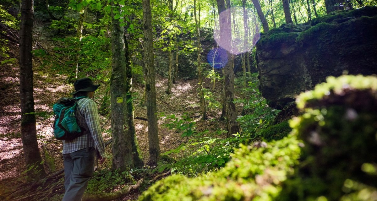 Ein Wanderer mit Rucksack und Hut geht durch einen sonnendurchfluteten Wald auf einem Pfad, umgeben von Bäumen und Moos., © Stadt Geislingen an der Steige Ein Wanderer mit Rucksack und Hut geht durch einen sonnendurchfluteten Wald auf einem Pfad, umgeben von Bäumen und Moos., © Stadt Geislingen an der Steige