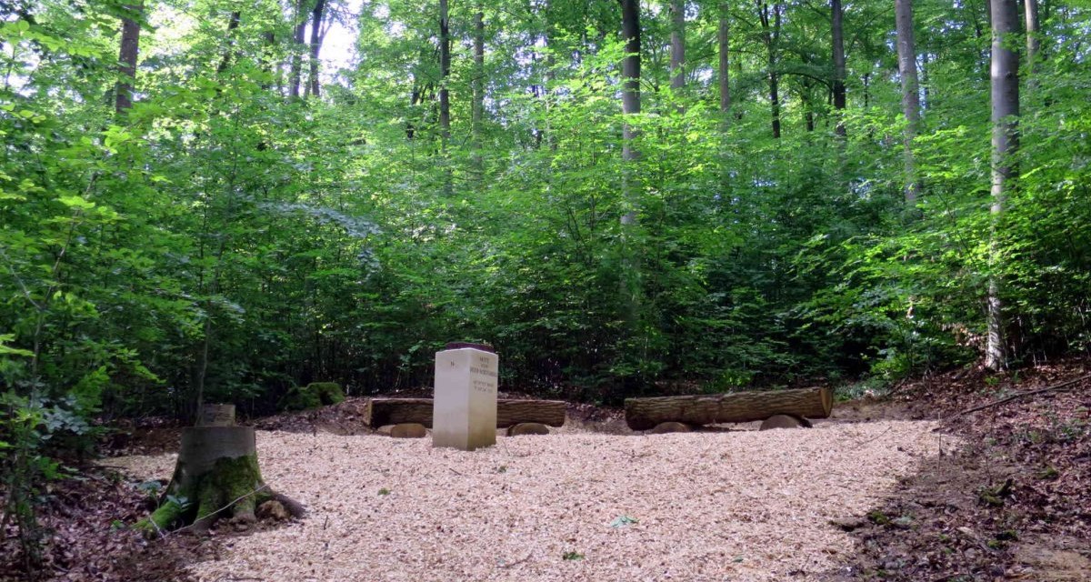Ein Gedenkstein und Baumst&auml;mme auf einem mit Holzsp&auml;nen bedeckten Platz im Wald, umgeben von dichtem Gr&uuml;n., &copy; Schw&auml;bischer Albverein, Ortsgruppe B&ouml;blingen