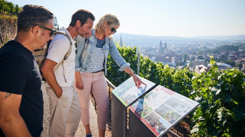 Drei Personen stehen auf einem Weinberg und lesen Informationstafeln. Im Hintergrund ist eine Stadt zu sehen. Drei Personen stehen auf einem Weinberg und lesen Informationstafeln. Im Hintergrund ist eine Stadt zu sehen.