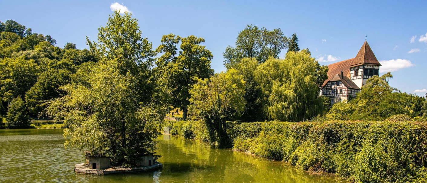 Ein malerischer See im Stadtpark von Murrhardt mit üppiger Vegetation und einem Fachwerkhaus im Hintergrund bei sonnigem Wetter., © SMG, Sarah Schmid Ein malerischer See im Stadtpark von Murrhardt mit üppiger Vegetation und einem Fachwerkhaus im Hintergrund bei sonnigem Wetter., © SMG, Sarah Schmid