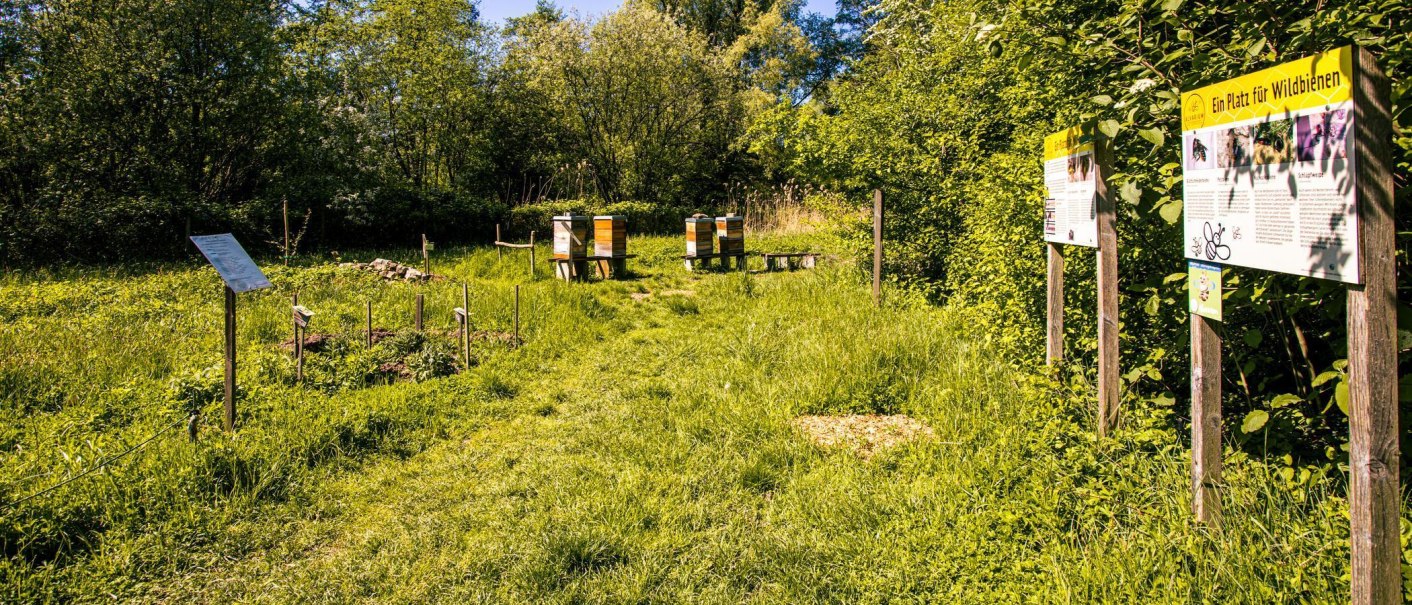 Ein Bienenstand in einer grünen Wiese mit Informationstafeln über Wildbienen. Die Umgebung ist von Bäumen und Sträuchern umgeben., © Stuttgart-Marketing GmbH, Sarah Schmid