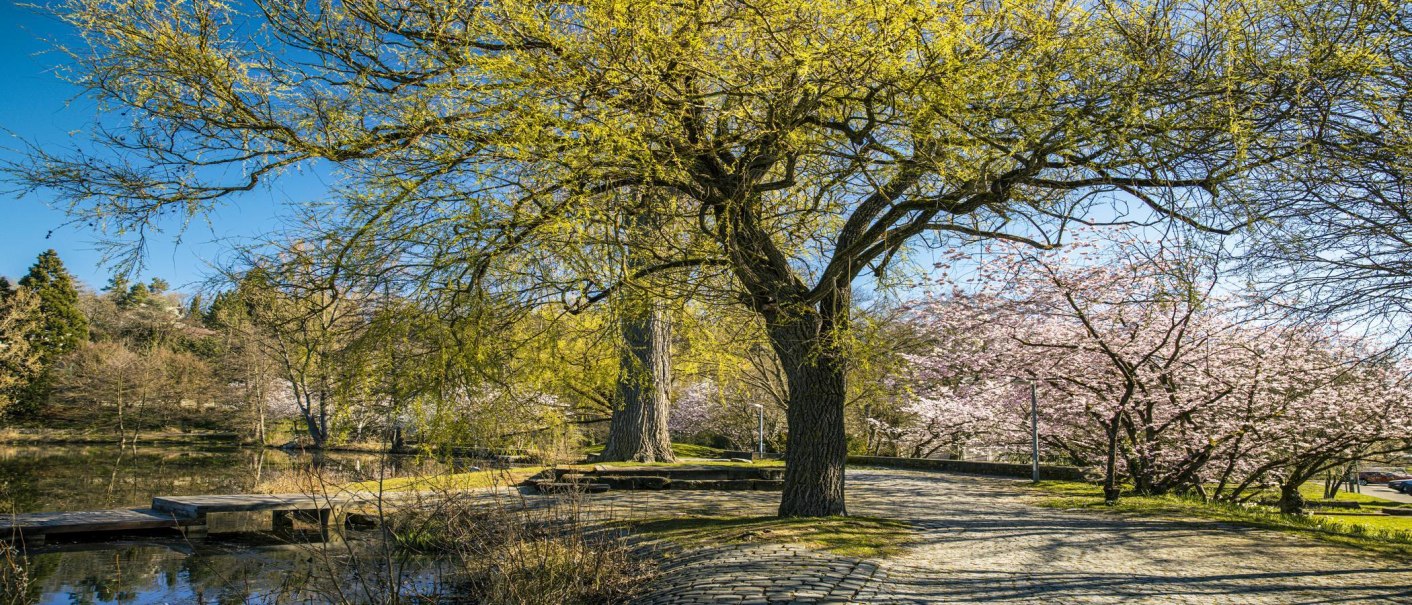 Klosterseepark Sindelfingen, © SMG, Sarah Schmid