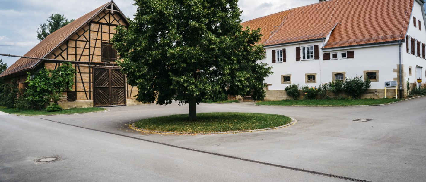 Fachwerkgebäude und modernes Gebäude mit rotem Dach, getrennt durch einen Baum auf einer Verkehrsinsel. Bewölkter Himmel im Hintergrund., © HfWU, Manuel stark