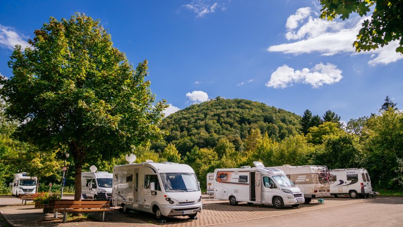 Wohnmobilstellplatz mit mehreren Wohnmobilen, umgeben von Bäumen und einem bewaldeten Hügel im Hintergrund unter blauem Himmel., © Stuttgart-Marketing GmbH, Thomas Niedermüller Wohnmobilstellplatz mit mehreren Wohnmobilen, umgeben von Bäumen und einem bewaldeten Hügel im Hintergrund unter blauem Himmel., © Stuttgart-Marketing GmbH, Thomas Niedermüller