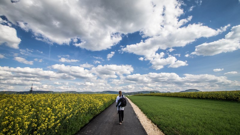 Eine Person wandert auf einem asphaltierten Weg zwischen gelben Blumenfeldern und grünem Gras unter einem blauen Himmel mit weißen Wolken., © Foto: Mario Klaiber Eine Person wandert auf einem asphaltierten Weg zwischen gelben Blumenfeldern und grünem Gras unter einem blauen Himmel mit weißen Wolken., © Foto: Mario Klaiber