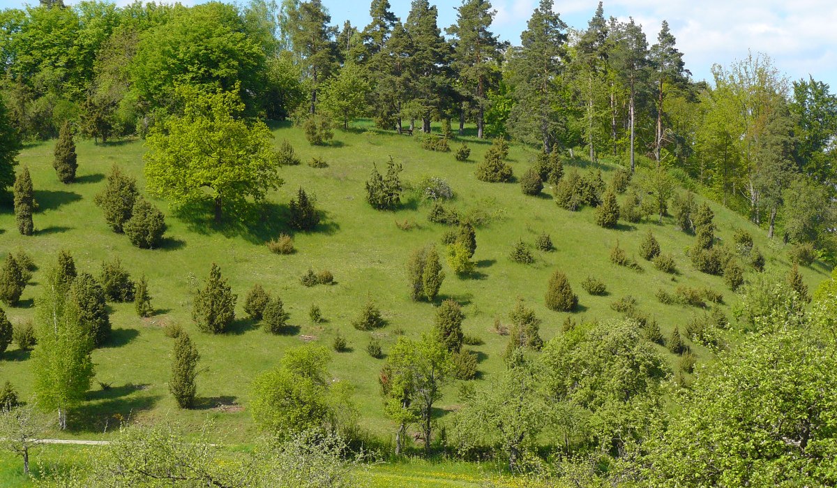© Natur.Nah. Schönbuch & Heckengäu © Natur.Nah. Schönbuch & Heckengäu
