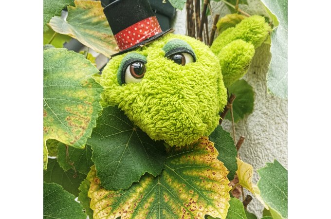 Ein grünes Plüschtier mit großen Augen und Zylinder versteckt sich zwischen grünen Blättern., © Stadt Besigheim Ein grünes Plüschtier mit großen Augen und Zylinder versteckt sich zwischen grünen Blättern., © Stadt Besigheim