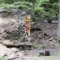 Waldszene mit freiliegenden Baumwurzeln, einem Schild 'Drei Annen' und einer Bank im Hintergrund.