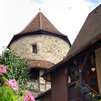 Ein mittelalterlicher Steinturm mit spitzem Dach erhebt sich über Fachwerkhäusern, umgeben von blühenden Blumen und blauem Himmel., © Mende Ein mittelalterlicher Steinturm mit spitzem Dach erhebt sich über Fachwerkhäusern, umgeben von blühenden Blumen und blauem Himmel., © Mende