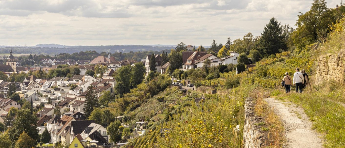 Panoramablick auf Bietigheim-Bissingen: Weinberge im Vordergrund, eine Kirche und Häuser im Hintergrund. Drei Personen spazieren auf einem Weg., © SMG, Sarah Schmid Panoramablick auf Bietigheim-Bissingen: Weinberge im Vordergrund, eine Kirche und Häuser im Hintergrund. Drei Personen spazieren auf einem Weg., © SMG, Sarah Schmid