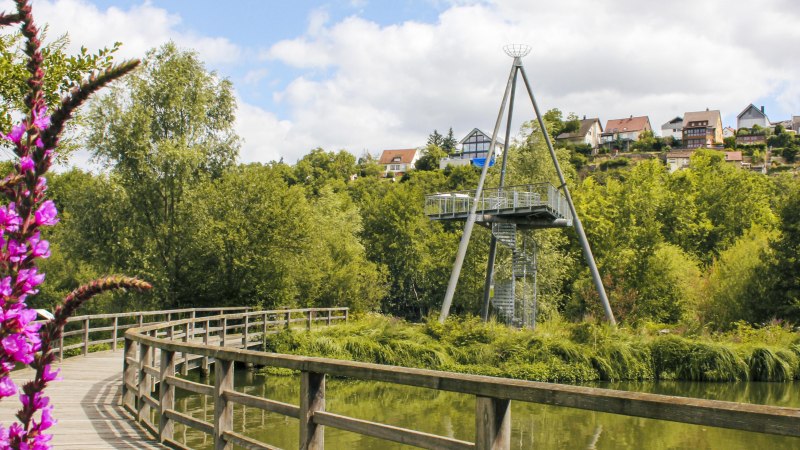 Ein Holzsteg f&uuml;hrt durch das gr&uuml;ne Neckar-Biotop in Ludwigsburg. Ein moderner Aussichtsturm und H&auml;user sind im Hintergrund zu sehen., &copy; SMG, Ellen Haeffner