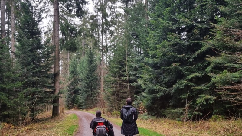 Inklusive Wanderbotschafter:innen - Poetenpfad - Barrierefreie Wanderung mit Start in Welzheim