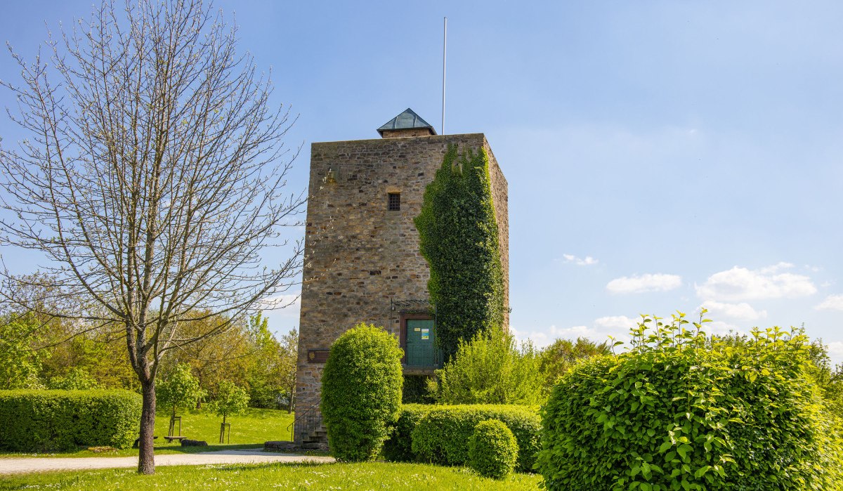 Der Albvereinsturm auf dem Stumpenhof steht inmitten grüner Vegetation. Ein klarer Himmel und Sonnenschein runden die Szene ab., © Plochingen Der Albvereinsturm auf dem Stumpenhof steht inmitten grüner Vegetation. Ein klarer Himmel und Sonnenschein runden die Szene ab., © Plochingen