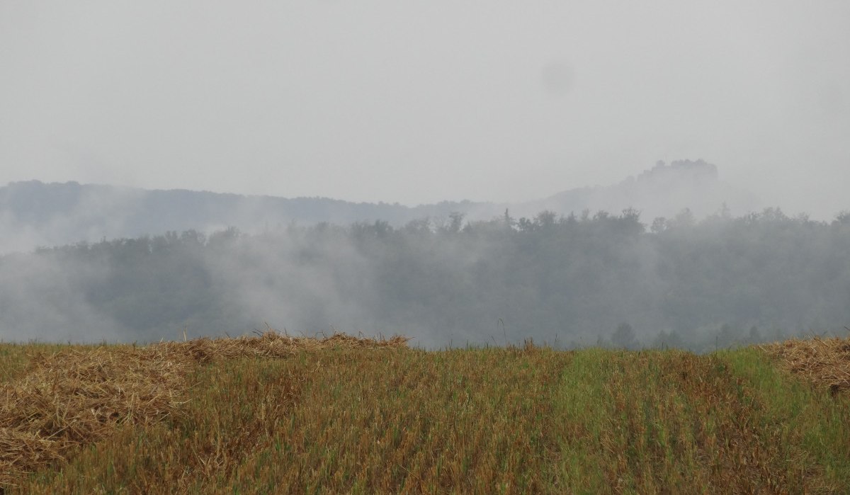 Nebelverhangene Hügel mit Wald im Hintergrund, abgeerntetes Feld im Vordergrund., © Nürtingen - Stuttgart-Marketing GmbH