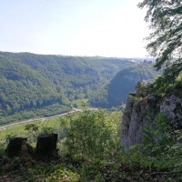 Blick von einem Felsen auf ein grünes, bewaldetes Tal mit einer Straße. Im Vordergrund sind Baumstümpfe und Büsche zu sehen., © Bad Urach Tourismus