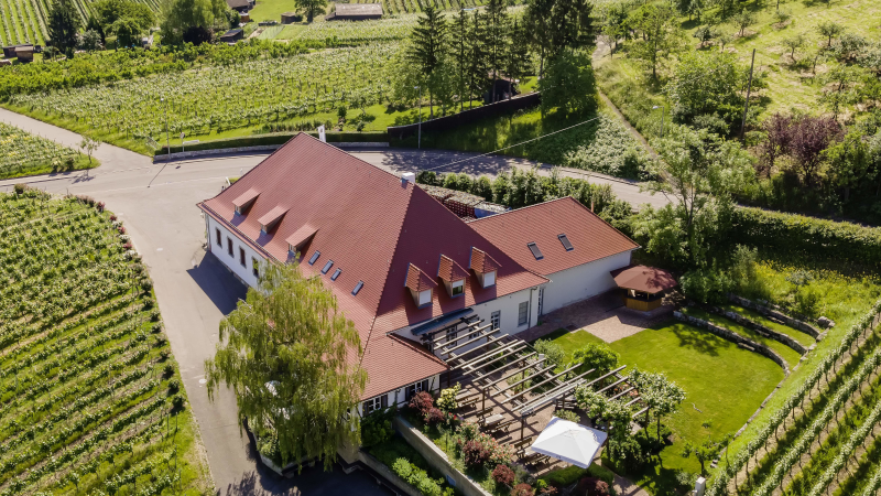 Luftaufnahme eines Gebäudes mit rotem Dach, umgeben von Weinbergen und grüner Landschaft. Ein Garten mit Pergola und Sonnenschirm ist sichtbar., © Collegium Wirtemberg