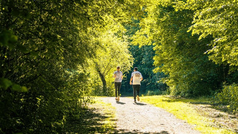 Zwei Personen spazieren auf einem sonnigen Waldweg, umgeben von &uuml;ppigem Gr&uuml;n. Die Szene strahlt Ruhe und Naturverbundenheit aus., &copy; Stuttgart-Marketing GmbH, Sarah Schmid